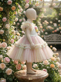 The Carousel Dreams Pastel Heirloom Gala Gown